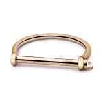 Miansai Gold Screw Cuff